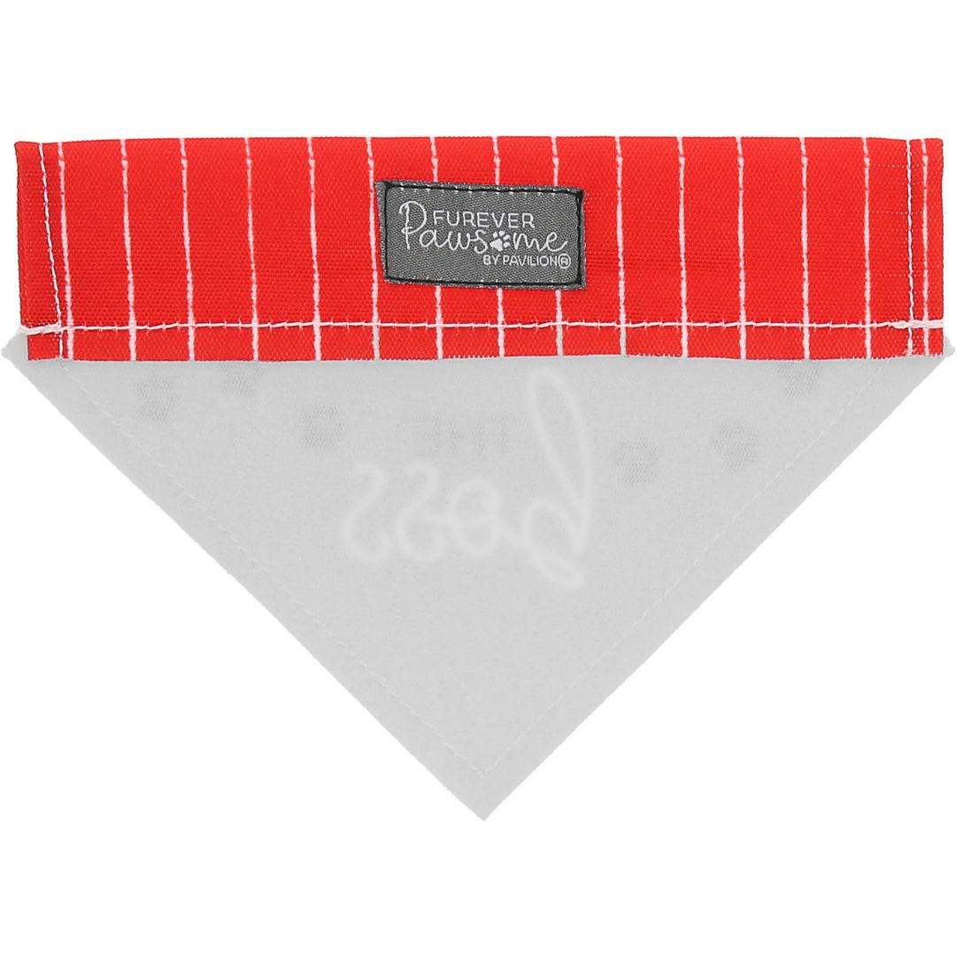 The Boss Canvas Slip-On Pet Bandana – Pavilion’s Pets – 12″x8″